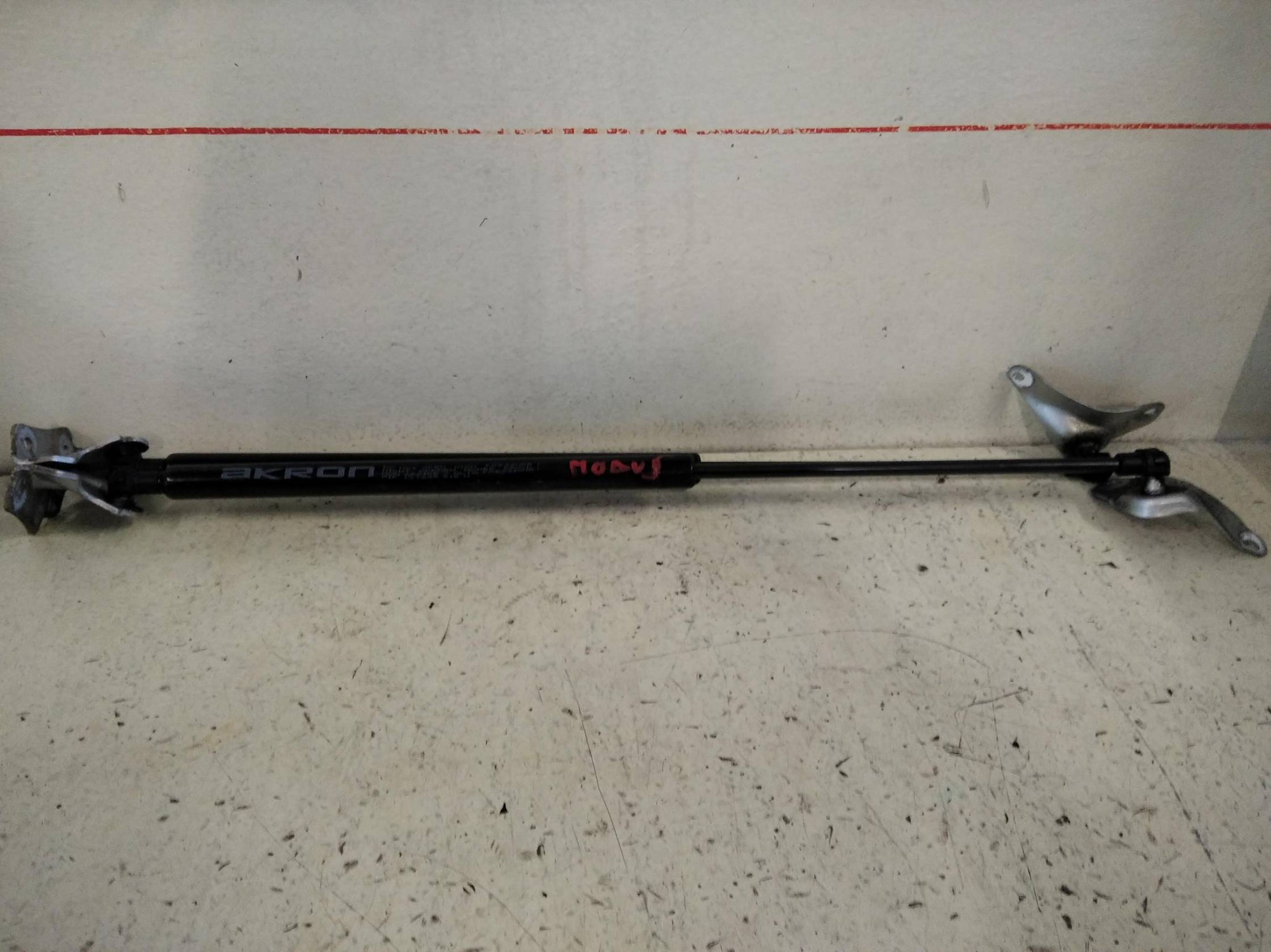 Asta ammortizzante portello post. sx.